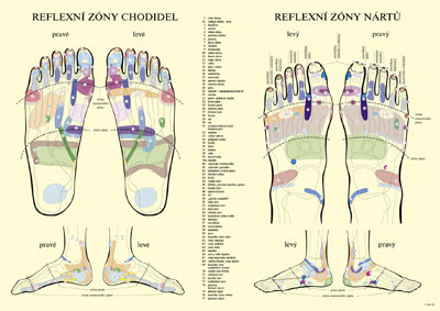 Reflexní zóny chodidel a nártů